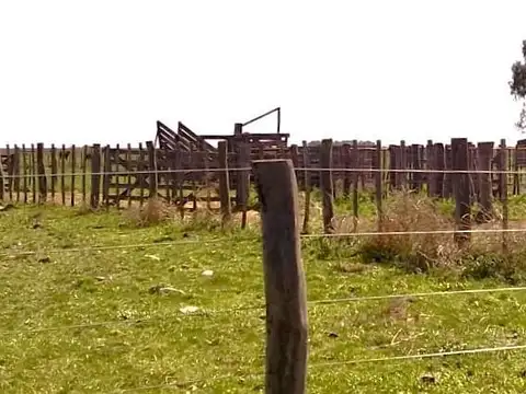 San Germán, Puán, Bs. As.