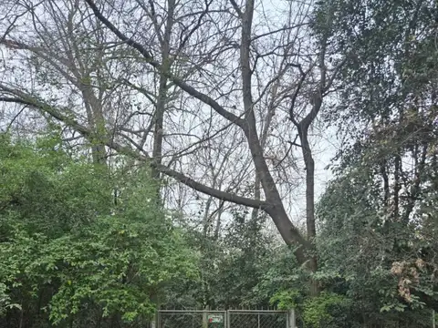 Terreno en Venta en Barrio Parque Leloir, USD 285.000