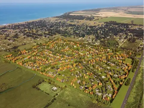 Avenida Jorge Newbery 3000