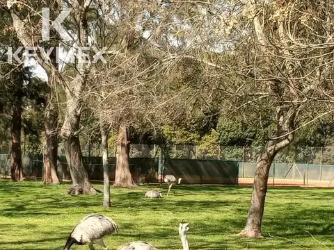 Terreno en Venta 55  mts Fondo