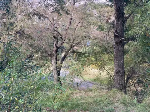 Terreno en Venta de 3970,0 m2