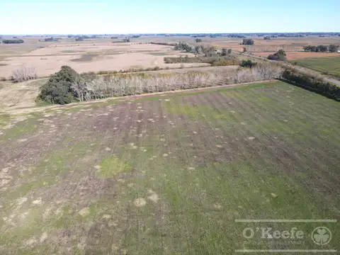 Campo en venta de 77 has en  Saladillo - Agricola ganadero
