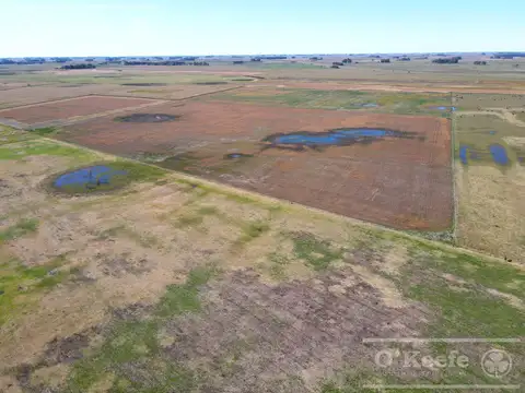 Campo en venta de 77 has en  Saladillo - Agricola ganadero