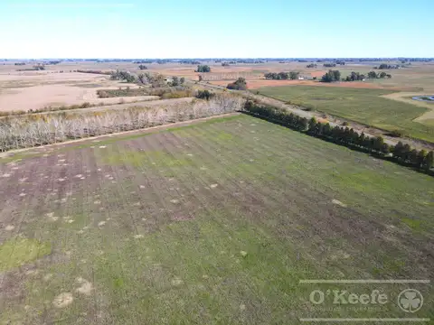 Campo en venta de 77 has en  Saladillo - Agricola ganadero