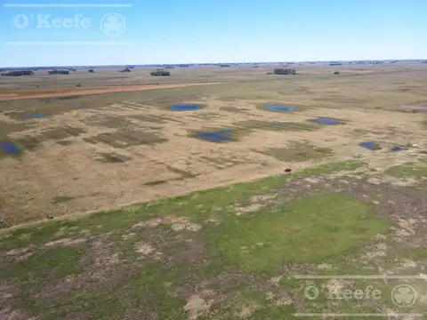 Campo en venta de 77 has en  Saladillo - Agricola ganadero