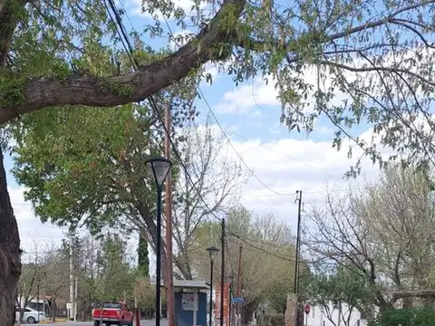 PELEGRINI  238 TUNUYAN 800