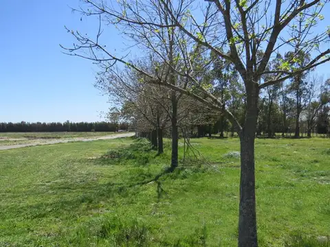 Juana De Arco -santa Inés