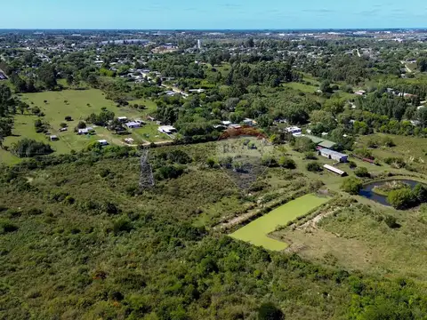Los Naranjales y Tomás Berreta