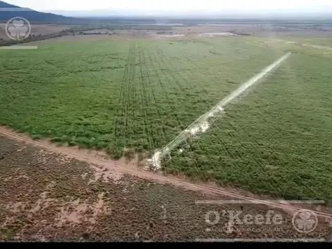 Campo mas Reserva Privada  en venta de 6300 has  en Gral Guemes ,Salta(Facilidades y Permutas)
