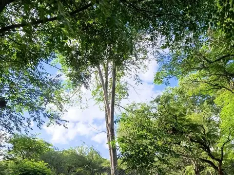 Terreno en Venta de 516,0 m2