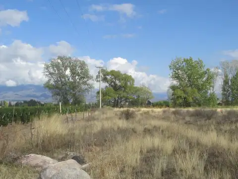 Bernardo Quiroga 100