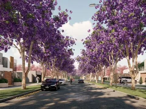 Lotes en Villa Robles - San Lorenzo