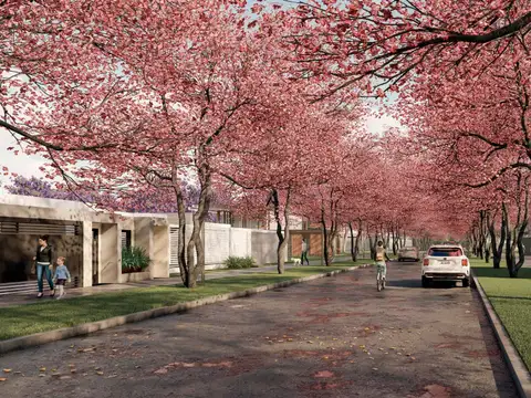 Alfredo Palacios 100