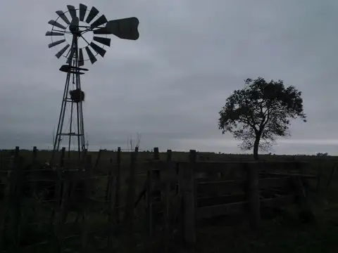 Campo en Venta de 3.000  ha