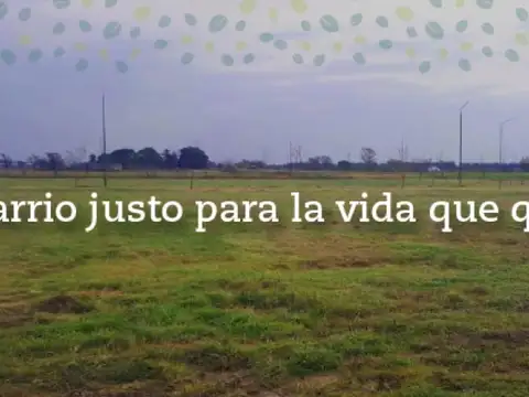 Altos De Piñero 100