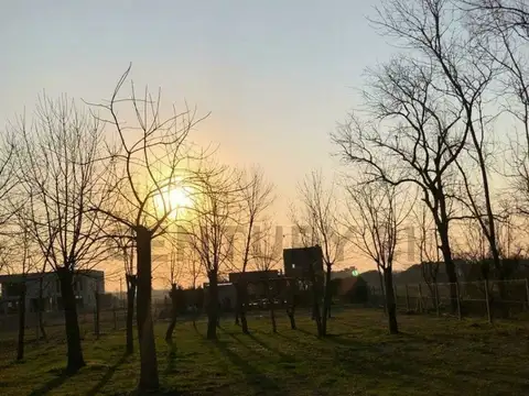 Lotes en Venta en Barrio Semi Cerrado Berisso