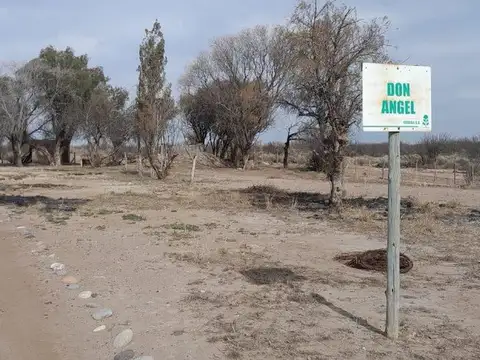 CAMPO EN VENTA MENDOZA