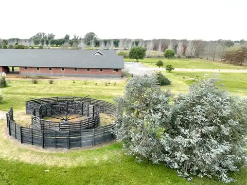 Haras sobre Ruta en Zona Club de Campo en Chenaut