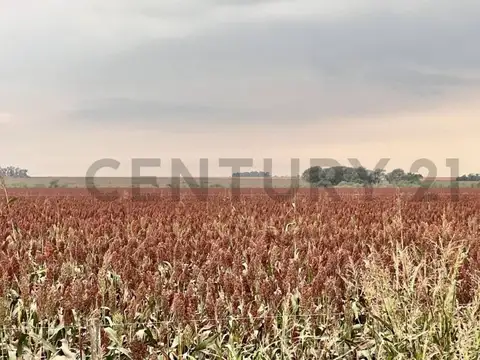 Campo en Venta de 0,01  ha