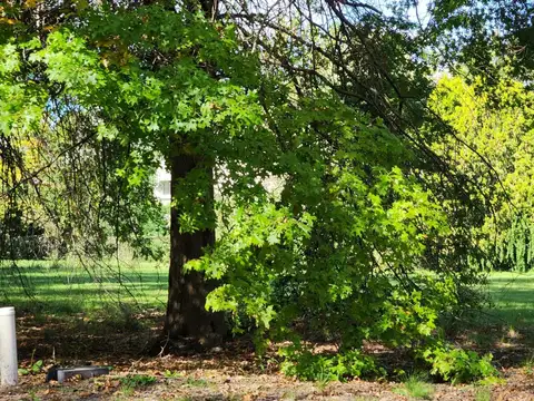 Terreno en Venta de 887,0 m2