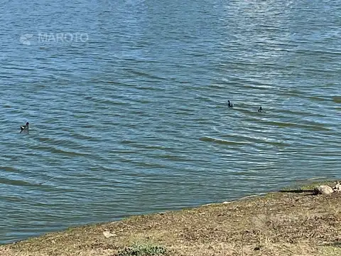 Terreno en Venta de 840,0 m2