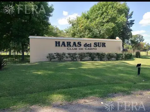 HARAS DEL SUR I LOTE 85A
