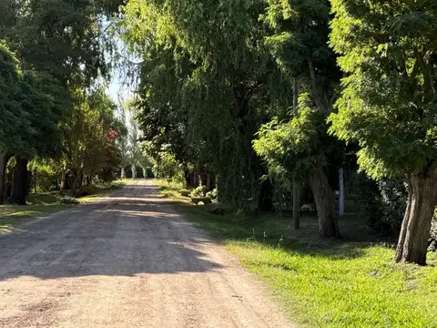 Casa a refaccionar con gran parque, pileta y excelente ubicación en la zona de la Laguna de Lobos, calle 38 e/ 1 y 2