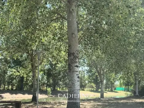 Terreno en Venta en Piñero, USD 32.000