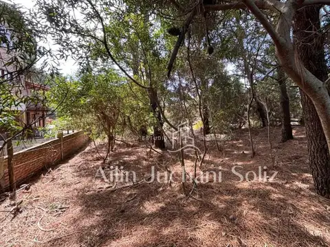 Terreno en Venta 37  mts Fondo