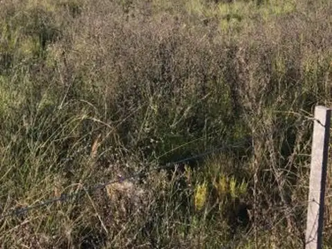 Terreno - Venta - Argentina, El Volcán