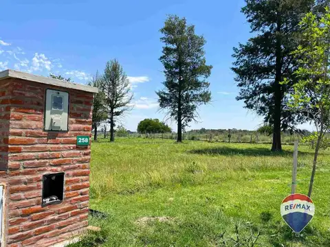 Calle El Deslinde 1100