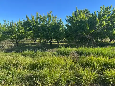 Terreno en Venta en San Rafael, USD 15.000