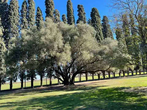 Quinta en Venta en Esperanza, USD 600.000