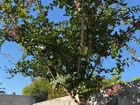 Casa en Venta en Centro  - Zarate, USD 1