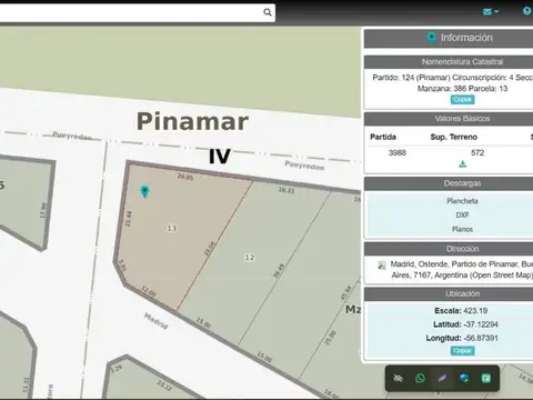 MADRID y LERTORA 100