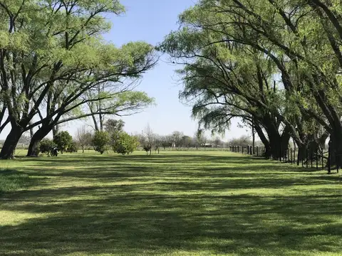 Terreno en Venta de 190000,0 m2