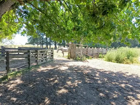 132 ha - Mixtas - Magdalena