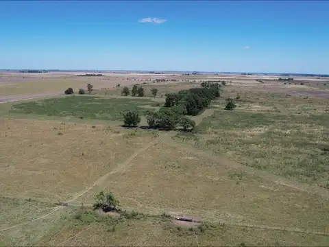 Campo de 132 hectáreas mixtas en Magdalena