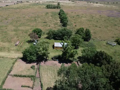 Campo de 132 hectáreas mixtas en Magdalena