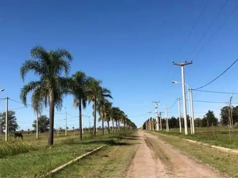 Terreno en Venta de 300,0 m2