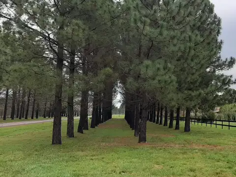 Casa en Alquiler Temporal en Estancias Las Lilas, USD 140