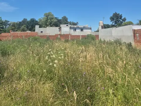 Victor Hugo Y Gabriela Mistral