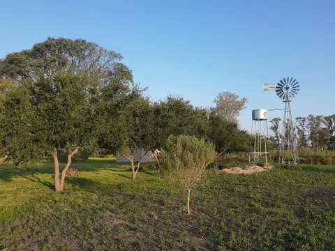 4,5 has chacra en venta con hermosa arboleda