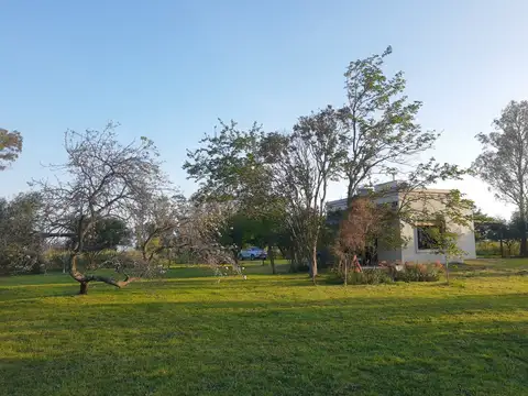 Campo en Venta de 4,50  ha