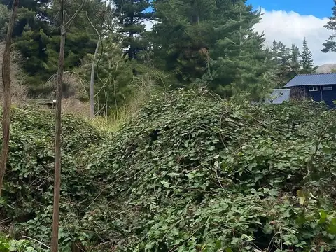 Terrenos y Lotes en Venta en San Carlos de Bariloche [Cod: ]