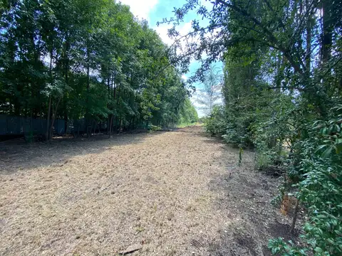 Terreno en Venta 32  mts Fondo