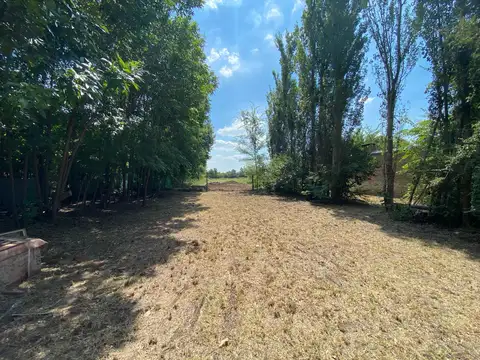 Terreno en Venta 14  mts Frente