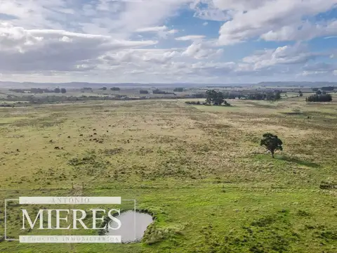 Campo de 50ha Ganadero, ubicado a 30 km de José Ignacio