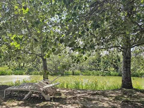 Casa en Alquiler Temporal en Nordelta, USD 7.500