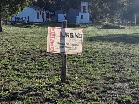 F. MOLINA CAMPOS 100